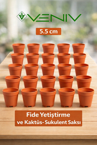 VENİV 25 Adet Fide Yetiştirme- Kaktüs Ve Sukulent Saksı 5.5 cm