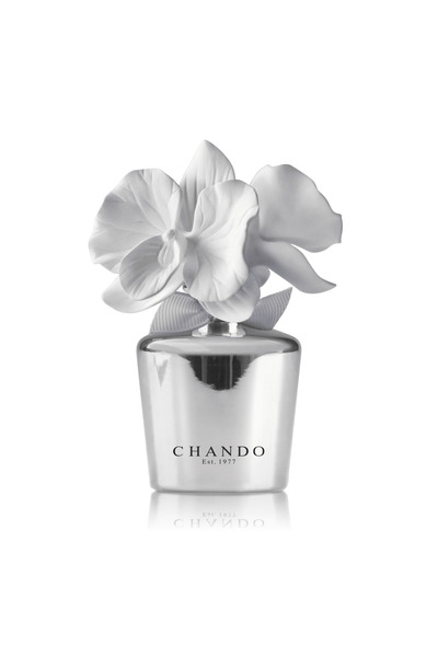 OEMS Mini Silver 35mL