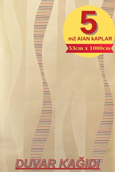 Renkli Duvarlar 5,3 m2 Silinebilir Dokulu Kaliteli Salon Mutfak Premium Salon...