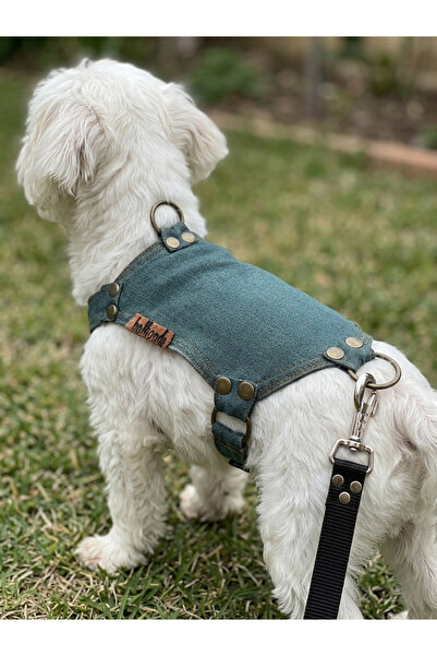 balkonda Köpek Göğüs Tasması Ayarlanabilir Minik & Küçük Irk Kot Petrol Mavisi