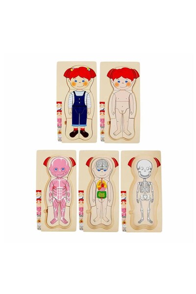 mybedesten Human Body Wooden Puzzle