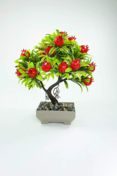 Generic Brand KESGİN MARKET ®   Decor Arbore Fructator Pom de Rodie în Ghivec...