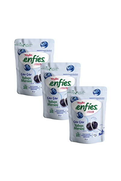 Yayla Enfies Freeze Dried Yaban Mersini 15 g x3