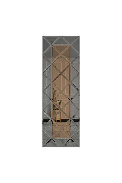 POTRO Oglinda cu fazeta 80 x 240 cm Gri-Bronze