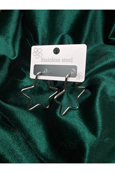 whiteandpurpledesign Steel Star Earrings
