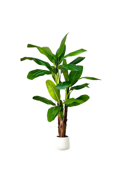 MirageBotanics شجرة موز صناعية بطول 180 سم بثلاثة جذوع، شجرة موز اصطناعية لتز...
