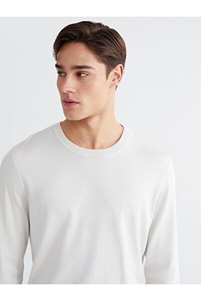 LC Waikiki Crew Neck Long Sleeve Men's Tricot Sweater