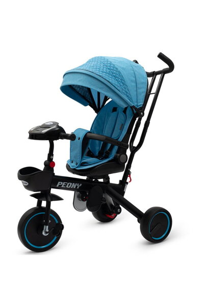 Other Tricicletă pentru copii Baby Mix Peony EVA Albastru