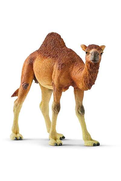 SCHLEICH Wild Life Dromedary - 14832