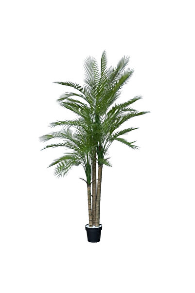 MirageBotanics شجرة نخيل اصطناعية بطول 200 سم، نبات مزيف للديكور الداخلي والخ...