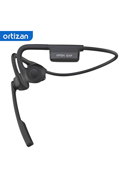Choice black Wireless Headset with Mic for Work, Bluetooth 5.3 Headphones wit...