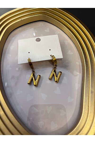 gozdeasutayaccessory Steel Earrings with Letter N