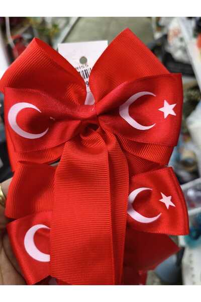 CLARİS مشبك شريط على شكل نجمة القمر