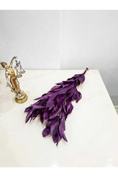 Birlik Şoklanmış Ruskus Mürdüm 40-45 cm 5 Dal
