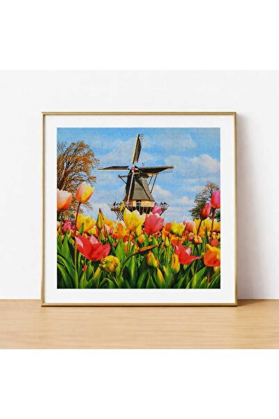 DNZt 5D Diamond Painting 30x30 cm Elmas Mozaik Boncuklu Taşlı Goblen Pano Tab...