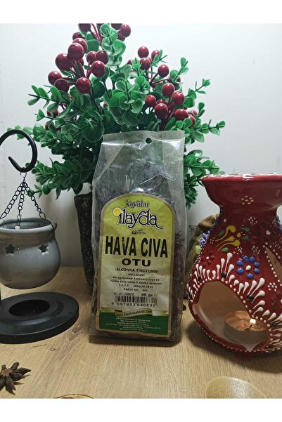 ilayda bitki İlayda Hava Cıva Otu