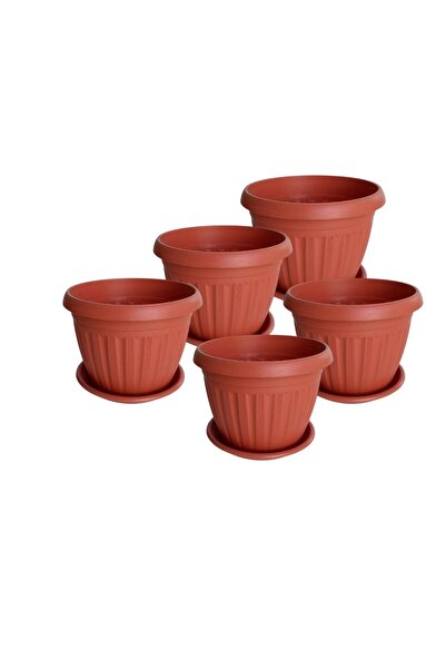 Ch Five Circular Agricultural Basins with a Diameter of 30 cm