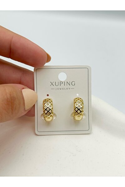 SEHERDEN Classic Model Gold Color Hoop Women's Earrings with File Texture