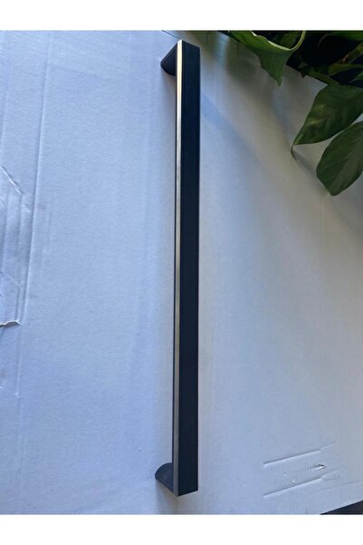 Baytech Luxell 88 Lt Platinium Ankastre Fırın Kulbu.