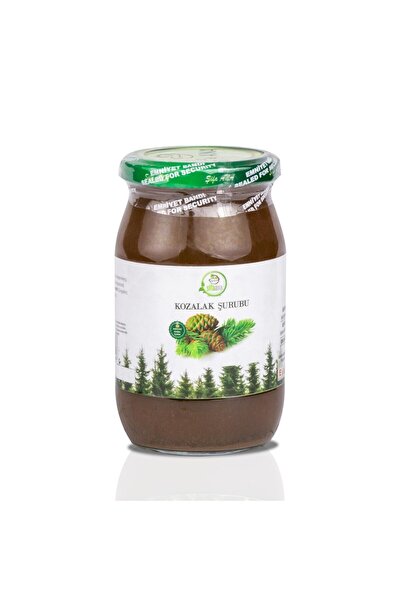 ŞİFA ANA Şekersiz Kozalak Şurubu (370 cc.)