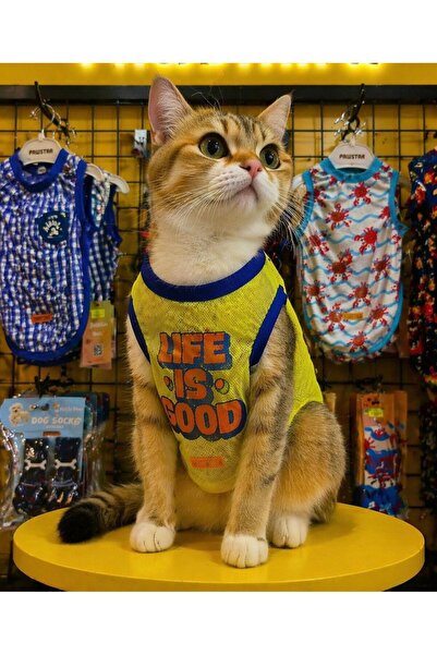 Kedi & Köpek Fileli Kıyafet
