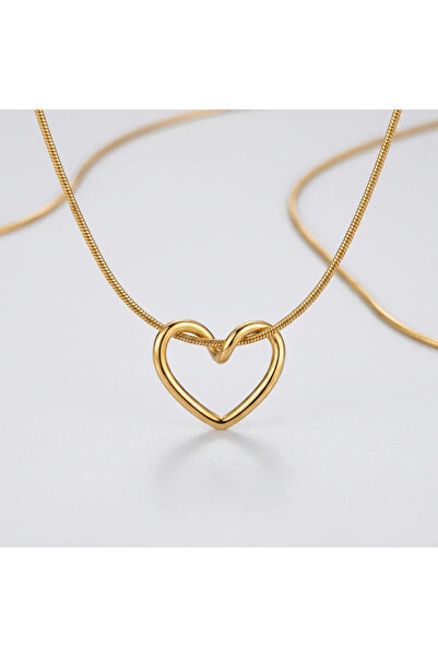 Siya Silver Non Tarnish Steel Imported Knot Heart Necklace