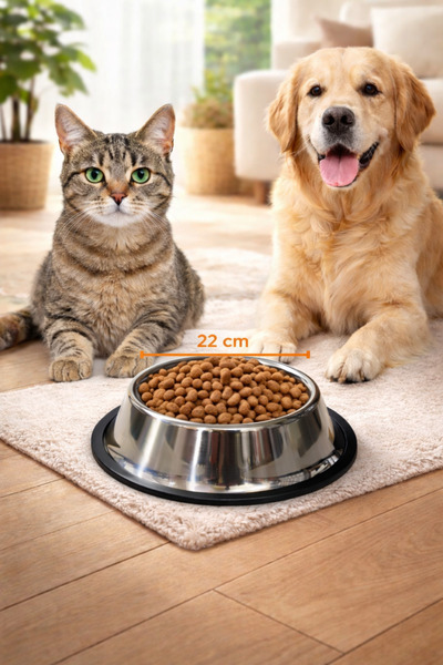 NitruDesign Çelik Kedi Köpek Mama ve Su Kabı 22 cm 500 ml 1 ADET