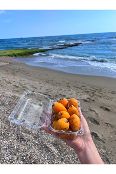 ALANYADAN TROPİKAL Alanya Malta Eriği Yenidünya 500 GR