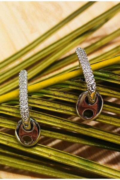 Monalisa Home Steel Stone Silver Color Earrings