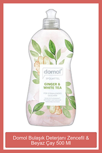 DOMOL Bulaşık Deterjanı Zencefil & Beyaz Çay 500 Ml Sr21040230