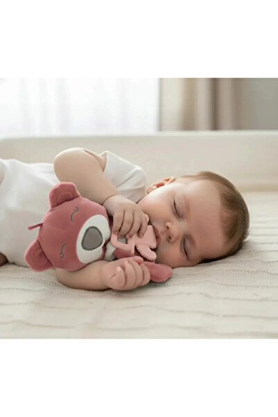 Babyjem Diş Kaşıyıcılı Uyku Arkadaşım Ayıcık Gül Kurusu