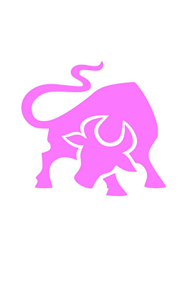 Oracal Αυτοκόλλητο αυτοκινήτου ανθεκτικό, taur v2, 18 εκ., ροζ