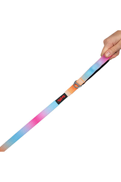 Tailpetz Pass Leash Small