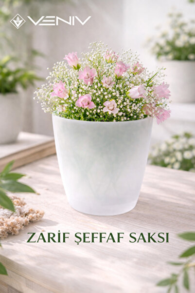 VENİV Dekoratif saksı 2L + Hediye Şeffaf Saksı