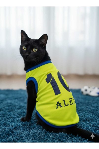 PuluPulu Cat and Dog Jersey Outfit That Can Be Printed with Name and Number in Navy Blue on Yellow