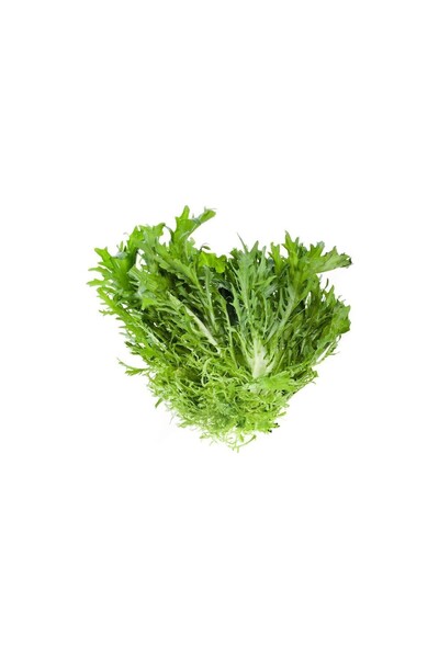 Arzuman Hindiba (Güneyik) Marul 5 Gram