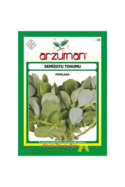 Arzuman Geniş Yapraklı Semizotu Tohumu-10 Gram