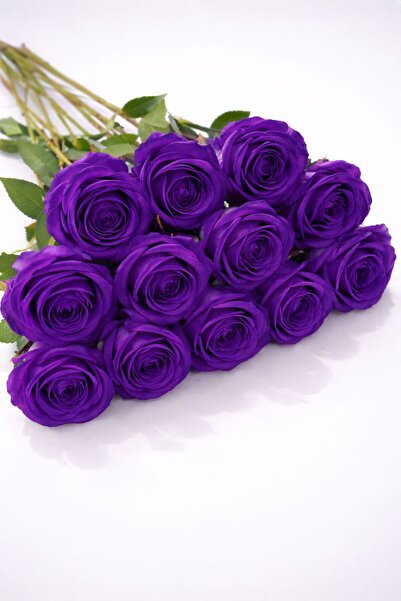 etxShop 10 Adet Yapay Kadife Gül 50 cm Dekoratif Çiçek Buketi Ev Salon Masa S...