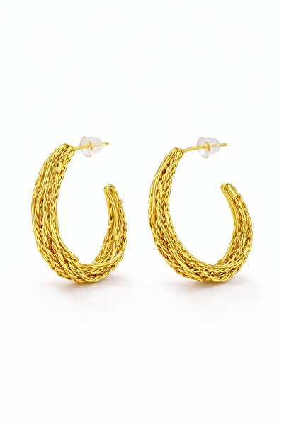 CHARMLUCKY Special Series Hook Earrings