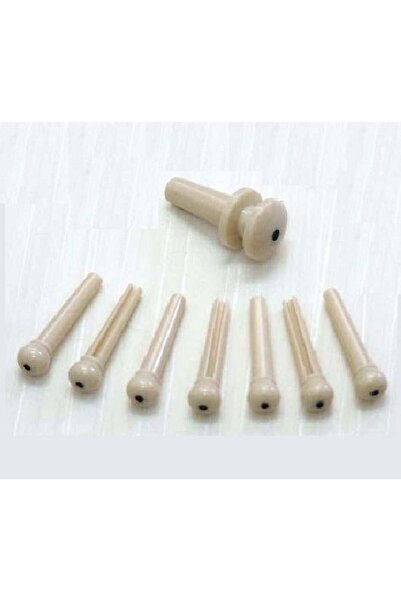 Planetwawes Planet Waves Pwps12 Acoustic Guitar Endpin and Bridge Pin Set |  ...