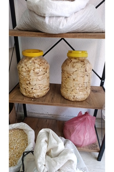 ÜNYE DOĞAL BAKKAL Dağ Mantarı 1kg