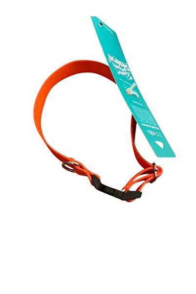 Mita Adjustable Dog Collar Orange