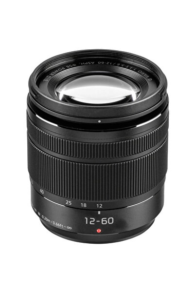 PANASONIC Obiectiv Lumix G Vario 3,5-5,6/12-60 Power OIS Asph.