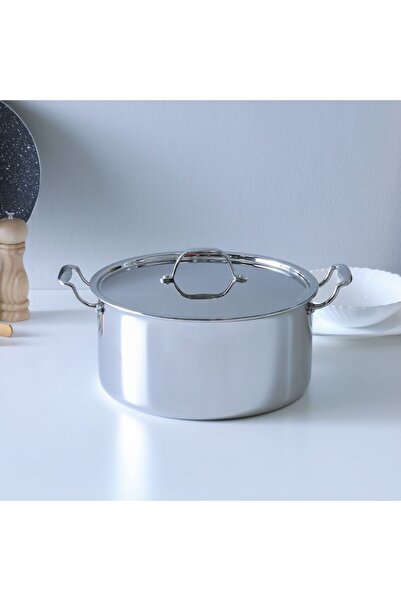 chef's delight قدر طهي ثلاثي الطبقات من الستانلس ستيل سيلينا مع غطاء من الستا...