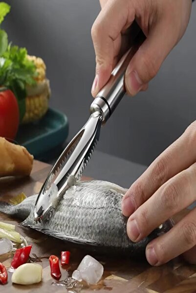 Ecuy Stainless Steel Fish Scale Scraper Vegetable Corer Professional 23cm Kit...