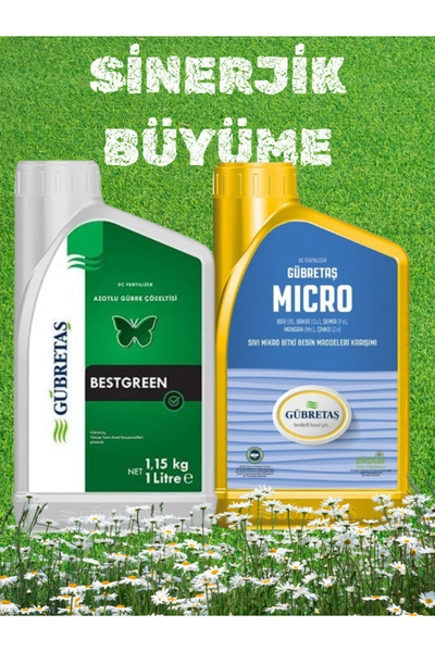 SYNERGISTIC GROWTH BESTGREEN (25%) NITROGEN and (5%) MAGNESIUM 1 LT+MİCRO 1 LT Plant Leaf/Soil Fertilizer Set