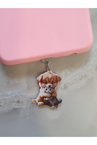 ZB Aksesuarda Moda TYP-C UYUMLU ŞARJ GİRİŞ KORUMA CHARMI TELEFON CHARM TYP-C
