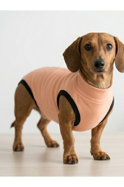 MİHAVLA Kedi Köpek Ameliyat Sonrası Koruyucu Tulum Kolsuz Sırttan Çıtçıtlı Ya...