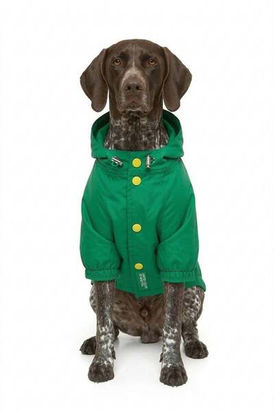 United Colors of Benetton Bnt-Rc2504 Dog Outfit Raincoat Green