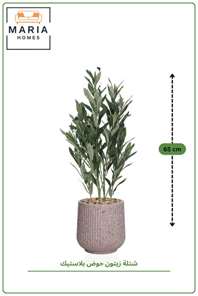 MARIA HOMES 65 cm Artificial Olive Plant with Realistic Leaves in with Pot
